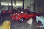 jaguar